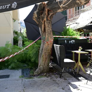 Η ανακοίνωση του Δήμου Αθηναίων για τον τραυματισμό δύο πολιτών από τις πτώσεις δέντρων