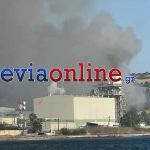 Εύβοια: Φωτιά τώρα στο Μηλάκι - Καίει κοντά σε εργοστάσιο