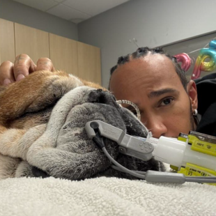 Λιούις Χάμιλτον: Πέθανε ο σκύλος του, ο Roscoe - «Δεν σταμάτησε να παλεύει μέχρι την τελευταία στιγμή»