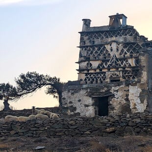 Πρωτοβουλία Cycladic Identity: 8 νέα προγράμματα σε οκτώ νησιά των Κυκλάδων & δύο διακυκλαδικά