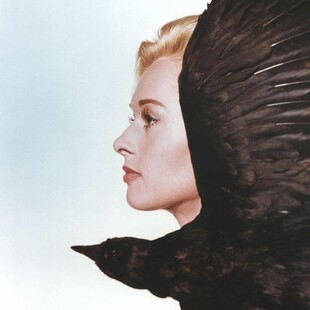 Ύμνος στη Δάφνη Ντι Μοριέ από τον Στίβεν Κινγκ 