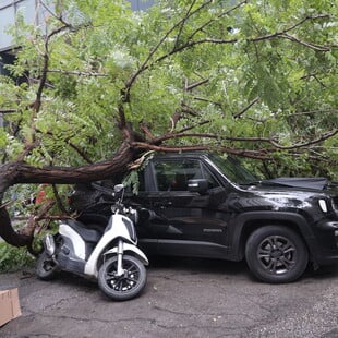 Δέντρο ξεριζώθηκε και τραυμάτισε μοτοσικλετιστή στο κέντρο της Αθήνας