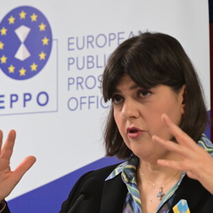 λαουρα κοβεσι φλωριδησ τεμπη οπεκεπε