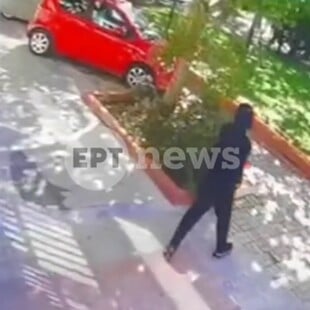 ΠΕΡΙΣΤΕΡΙ ΣΥΜΠΛΟΚΗ ΒΙΝΤΕΟ