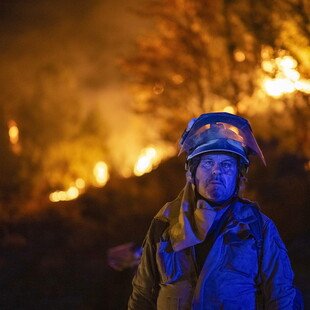 Κλιματική κρίση: Η μεγάλη απάτη των «πράσινων» αντισταθμίσεων άνθρακα