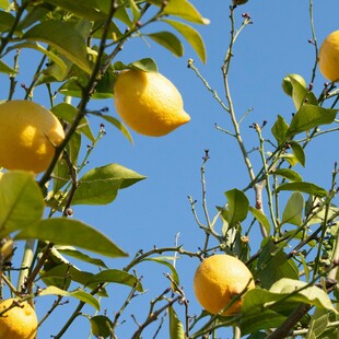 Καιρός: Αποχωρεί η «Barbara» και επιστρέφει η ηλιοφάνεια - Πού επιμένει το κρύο