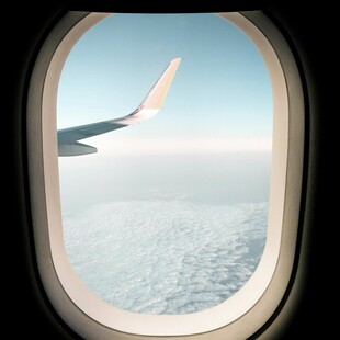 Αεροπορική εταιρεία κατηγορείται για τον θάνατο χορτοφάγου επιβάτη - Τι καταγγέλλει η οικογένειά του