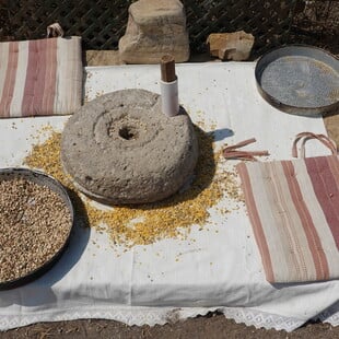 Από τη φάβα της Σκοπέλου έως τα Κέδαρα της Ημαθίας: 11 νέες ζωντανές παραδόσεις στο Ευρετήριο Άυλης Πολιτιστικής Κληρονομιάς
