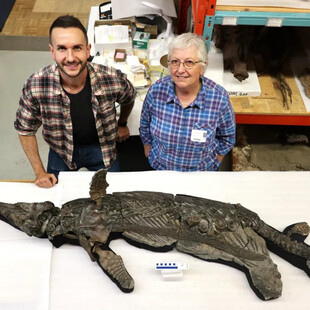 «Ξιφόδρακος του Ντόρσετ»: Ανακαλύφθηκε νέο είδος ιχθυόσαυρου στη Βρετανία