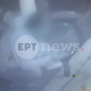 ΕΓΚΥΟΣ ΕΠΙΘΕΣΗ ΠΙΡΟΥΝΙ