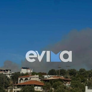 Φωτιά τώρα στην Εύβοια: Κοντά σε σπίτια οι φλόγες 