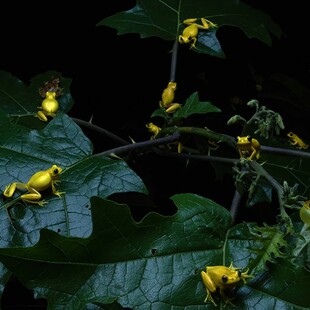 Wildlife Photographer of the Year 2025: Οι καλύτερες φωτογραφίες άγριας ζωής της χρονιάς