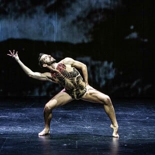 Φθινοπωρινές δράσεις στο Μέγαρο Χορού Καλαμάτας