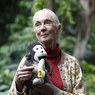 Τζέιν Γκούντολ: Αποκαλύφθηκε η αιτία του θανάτου της