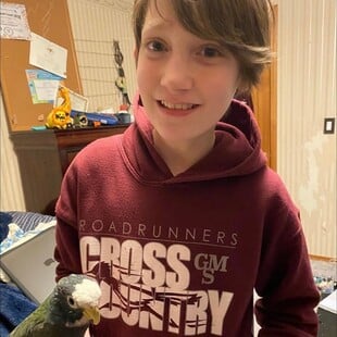 Tα διαδικτυακά αρπακτικά που έπεισαν έναν 13χρονο να αυτοκτονήσει