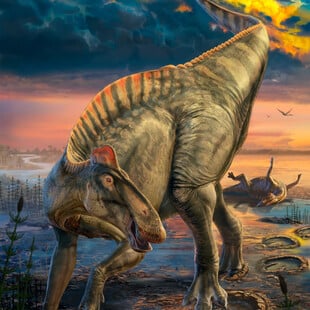 Σπάνιες «μούμιες» δεινοσαύρων φωτίζουν πώς έμοιαζαν και πώς ζούσαν