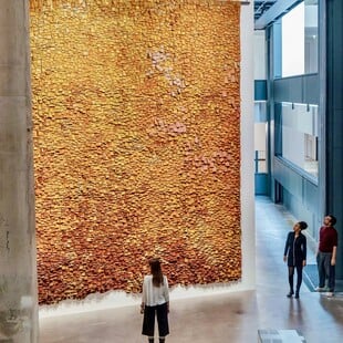 Fondation Cartier: Νέα στέγη, νέα τολμηρή έκθεση