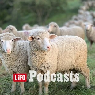 «Ο φραπές, ο χασάπης και η Πόπη με τη Φεράρι»: Γιατί κανείς δεν θέλει να γίνει αγρότης 