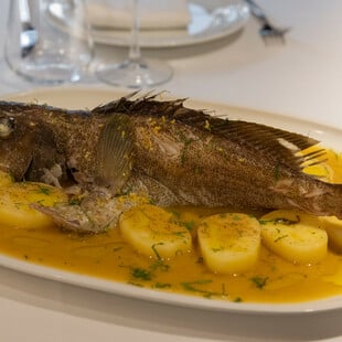 Όχι άλλη σφυρίδα! 