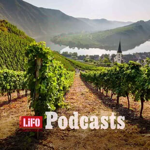 Pfalz: Η νέα δύναμη του Riesling και του Pinot Noir, που «ταράζει» την Ευρώπη