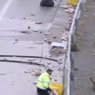 ΚΑΡΑΜΠΟΛΑ ΘΕΣΣΑΛΟΝΙΚΗ ΨΩΜΙ