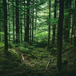 Πώς και πού θα αποθηκεύεται το διοξείδιο του άνθρακα;