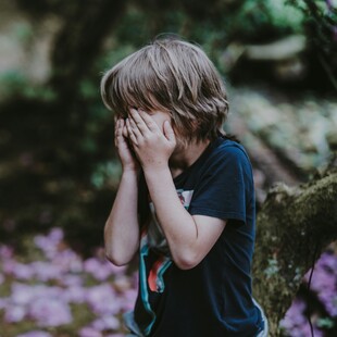 ΤΕΝΟΡΟΣ ΞΥΛΟΔΑΡΜΟΣ ΑΝΗΛΙΚΟΣ