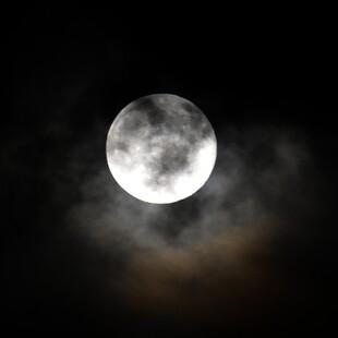 ΠΑΝΣΕΛΗΝΟΣ ΝΟΕΜΒΡΙΟΥ ΦΕΓΓΑΡΙ ΚΑΣΤΟΡΑ