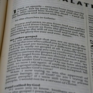 Το «vibe coding» είναι η Λέξη της Χρονιάς για το 2025, σύμφωνα με το λεξικό Collins