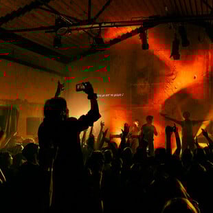 Αυτοοργάνωση, πολυμορφία και δημιουργία