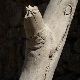 Ανδρέας Λόλης: Accidental Monuments