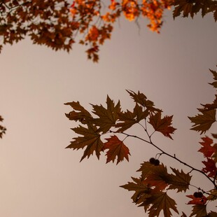 ΚΑΙΡΟΣ ΚΑΚΟΚΑΙΡΙΑ ΣΗΜΕΡΑ ΒΡΟΧΕΣ