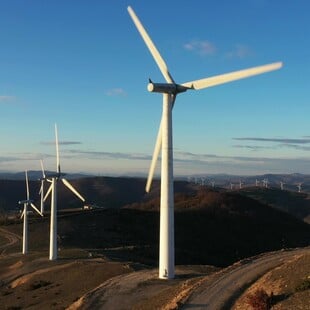 Πυρόπληκτος Έβρος, πράσινα σχέδια: H αιολική πίεση στα καμένα / Τα πράσινα σχέδια στον πυρόπληκτο Έβρο