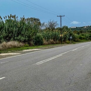 ΦΟΙΝΙΚΟΥΝΤΑ ΔΟΛΟΦΟΝΙΑ ΚΑΜΠΙΝΓΚ