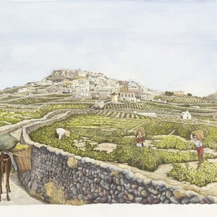 «Θηραϊκές τελετουργίες»: Η νέα ατομική έκθεση της Άρτεμης Χατζηγιαννάκη στον Φιλολογικό Σύλλογο «Παρνασσός»