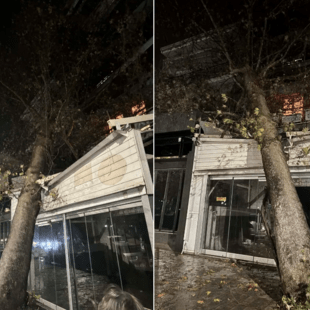 Κακοκαιρία: Ισχυρές βροχοπτώσεις σε Ιωάννινα και Θεσπρωτία - Ζημιές από κεραυνούς και πτώσεις δέντρων