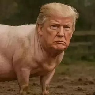 «Quiet, piggy»: Το σεξιστικό ξέσπασμα του Ντόναλντ Τραμπ κατά δημοσιογράφου που έγινε viral