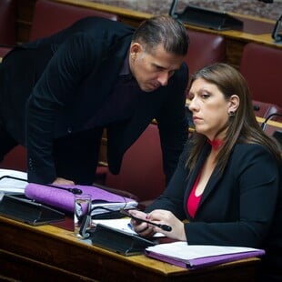 ΚΩΝΣΤΑΝΤΟΠΟΥΛΟΥ ΠΑΡΑΙΤΗΣΗ ΚΑΡΑΝΑΣΤΑΣΗ