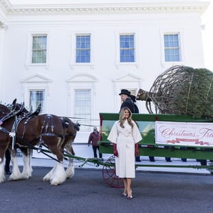 Η Μελάνια Τραμπ υποδέχθηκε το επίσημο χριστουγεννιάτικο δέντρο του Λευκού Οίκου