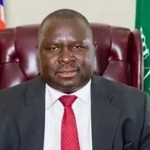 ΑΔΟΛΦΟΣ ΧΙΤΛΕΡ ΝΑΜΙΜΠΙΑ ΕΚΛΟΓΕΣ