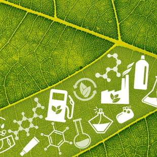 Η βιο-οικονομία στην καθημερινή ζωή της Ευρώπης 