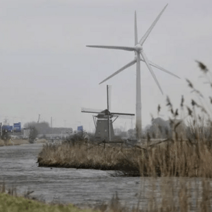 Ολλανδία: Συγκλονίζει η δίκη για τη «δολοφονία τιμής» 18χρονης – Κατηγορούνται τα αδέλφια της, εντολέας φέρεται ο πατέρας