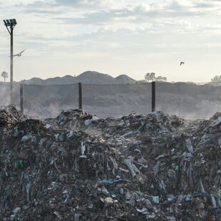 ΧΩΜΑΤΕΡΗ ΣΚΟΥΠΙΔΙΑ ΕΥΡΩΠΗ ΗΝΩΜΕΝΟ ΒΑΣΙΛΕΙΟ