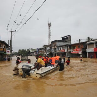 πλημμύρες ασία αποψίλωση 