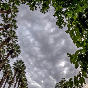 Κακοκαιρία Byron: Κλειστός ο Εθνικός Κήπος - Πότε εξασθενούν τα έντονα φαινόμενα στην Αττική 