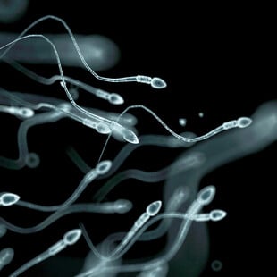 Σπέρμα από δότη με καρκινικό γονίδιο χρησιμοποιήθηκε για τη σύλληψη σχεδόν 200 παιδιών