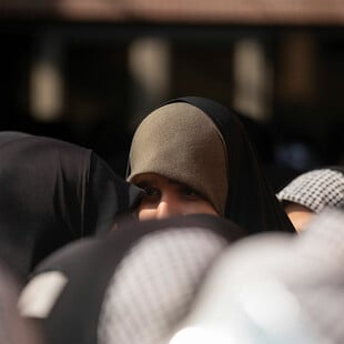 ΑΥΣΤΡΙΑ ΜΑΝΤΙΛΑ ΑΠΑΓΟΡΕΥΣΗ ΣΧΟΛΕΙΟ ΚΟΡΙΤΣΙΑ