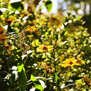 ΚΑΙΡΟΣ ΣΑΒΒΑΤΟΚΥΡΙΑΚΟ