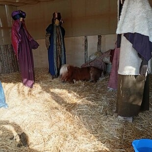 ΒΟΛΟΣ ΠΟΝΙ ΑΧΙΛΛΕΑΣ ΜΠΕΟΣ ΧΡΙΣΤΟΥΓΕΝΝΑ