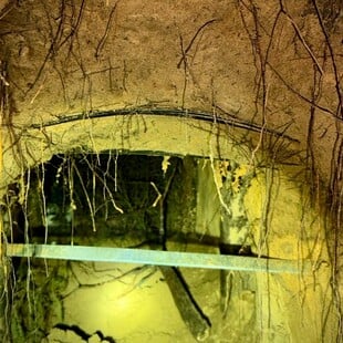 Πολωνία: Εντοπίστηκε σήραγγα διακίνησης μεταναστών στα σύνορα με Λευκορωσία